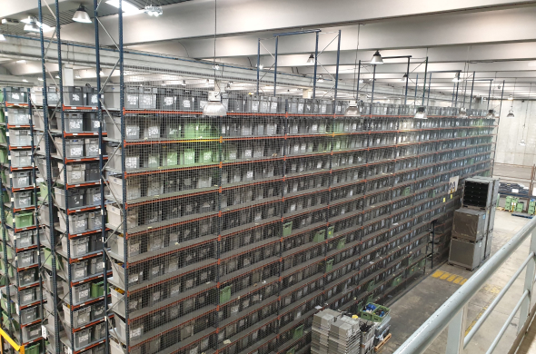 Imagen sobre el servicio de Compra Venta