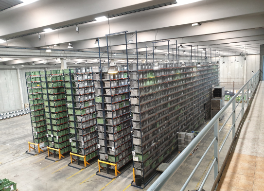 Imagen sobre el servicio de Estanterías industriales para almacenes